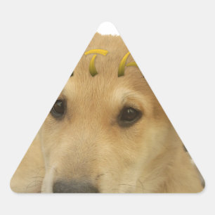 Pegatina Triangular Hakuna Matata Sé lo que estás pensando pinctur