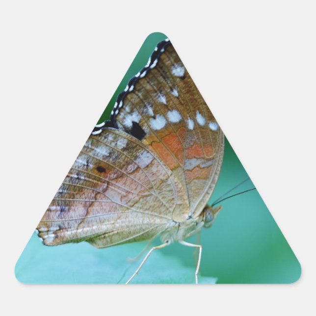 Pegatina Triangular Hermosa mariposa Danaus Plexippus en hojas. (Anverso)