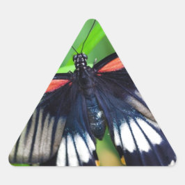 Pegatina Triangular Hermosa mariposa negra, blanca y roja