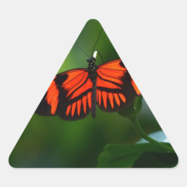 Pegatina Triangular Hermosa mariposa roja y negra