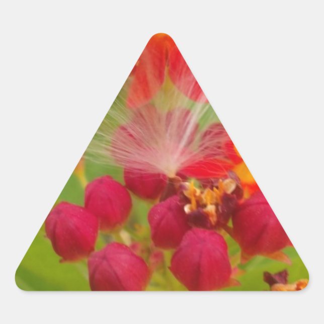 Pegatina Triangular Hermosa y colorida floral con arte de hierbas arom (Anverso)