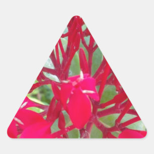 Pegatina Triangular Hermoso caleidoscopio de algodoncillo rojo colorid