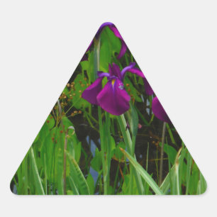 Pegatina Triangular Hermoso Iris Morado