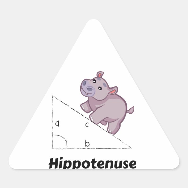 Pegatina Triangular Hippotenuse Funny Math (Anverso)