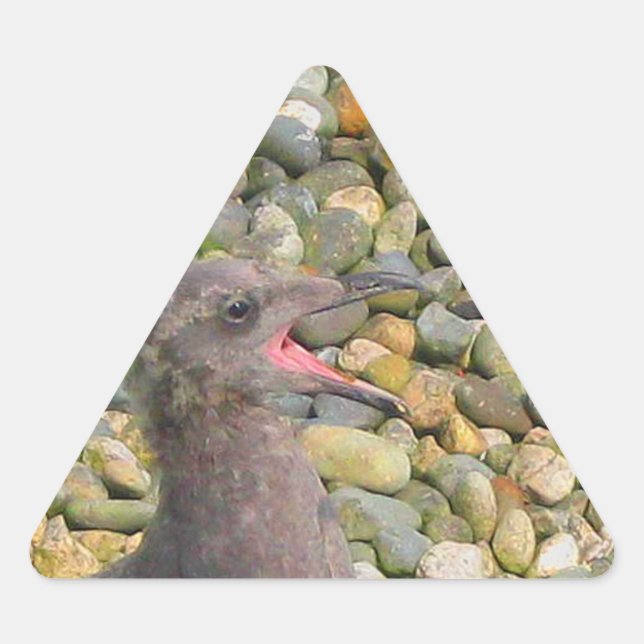 Pegatina Triangular Hungry Baby Gull Sticker (Anverso)