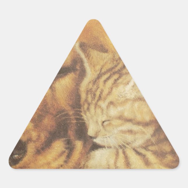 Pegatina Triangular Impresión asombrosa del arte de la peluca de gatos (Anverso)