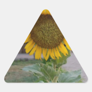 Pegatina Triangular Impresión de arte de girasol