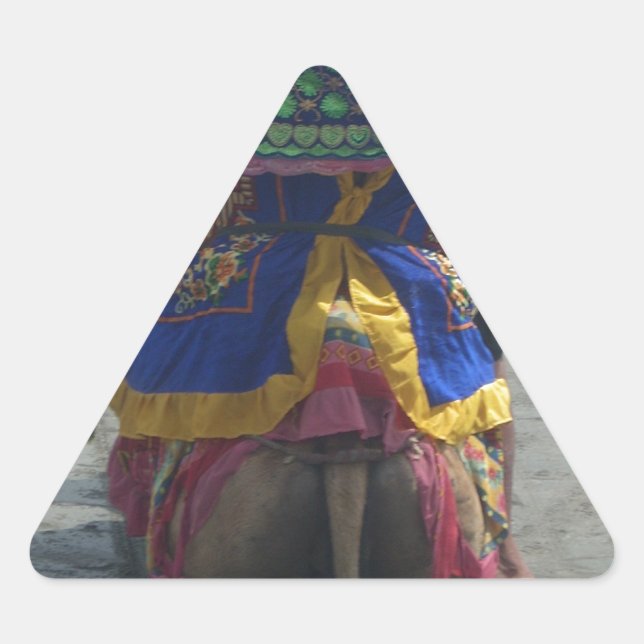 Pegatina Triangular Impresión/gráfico de arte capilar caprichoso (Anverso)