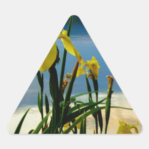 Pegatina Triangular Iris amarillo en la orilla del lago