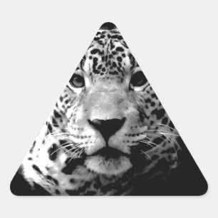 Pegatina Triangular Jaguar blanco y negro