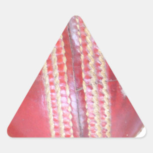 Pegatina Triangular La esfera del maestro del spin: una pelota de cric