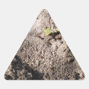 Pegatina Triangular Las hormigas marchan