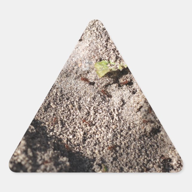 Pegatina Triangular Las hormigas marchan (Anverso)