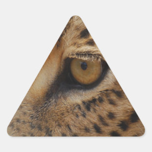 Pegatina Triangular Leopard Eye