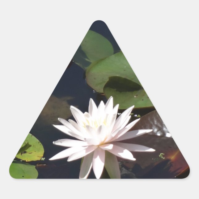 Pegatina Triangular Lirio de agua (Anverso)