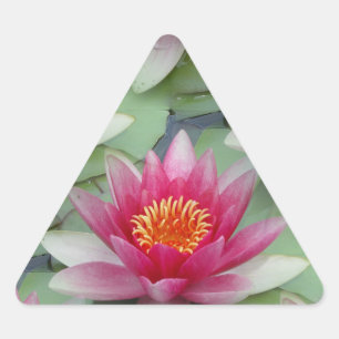 Pegatina Triangular Lirio de agua de Lotus rosa