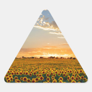 Pegatina Triangular Los girasoles al atardecer