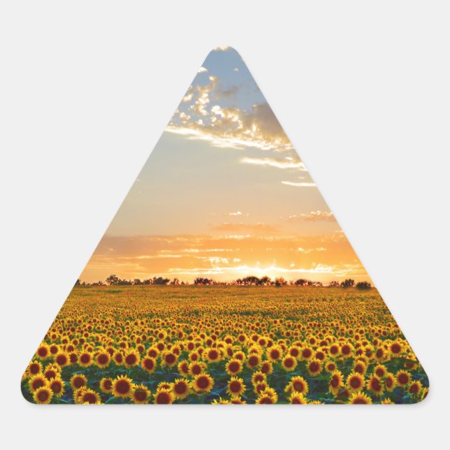 Pegatina Triangular Los girasoles al atardecer (Anverso)