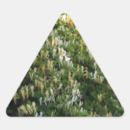 Pegatina Triangular Madreselva En Una Pared
