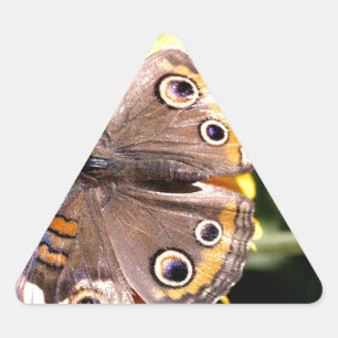Pegatina Triangular Mariposa marrón colorida con múltiples ojos