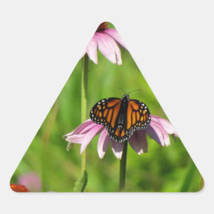 Pegatina Triangular Mariposa monarca en una conflor violeta