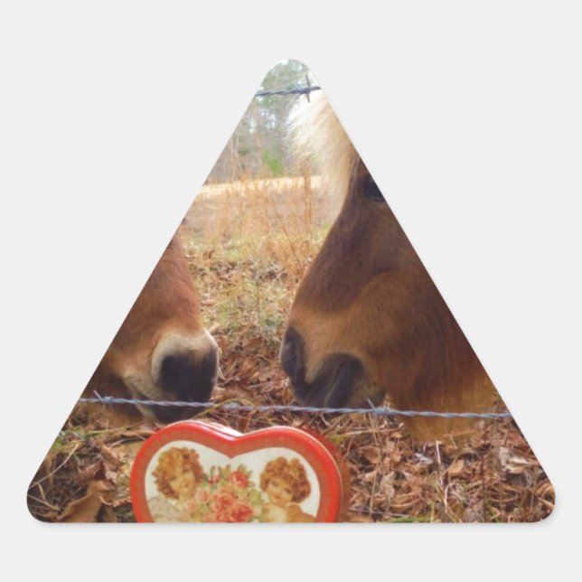 Pegatina Triangular Mítinico burro y corazón de San Valentín de caball (Anverso)