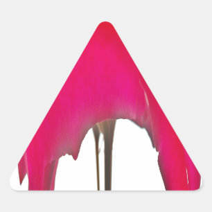 Pegatina Triangular Momento capturado: Elegancia de Petal de Rosa Roja