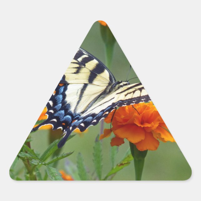 Pegatina Triangular Mujer amarilla Tígre oriental (Anverso)