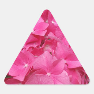 Pegatina Triangular Naturaleza de la fotografía floral rosa