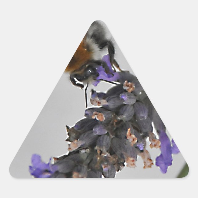 Pegatina Triangular Naturas trabajadores maravillosos (Anverso)