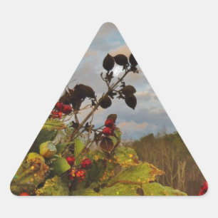 Pegatina Triangular Navidades elegantes de Holly,