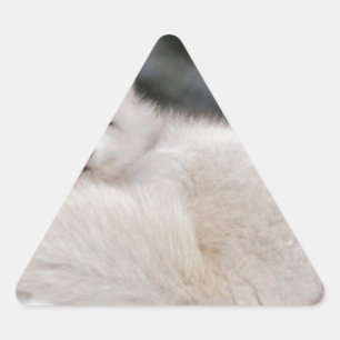 Pegatina Triangular nieve invierno hielo hielo hielo hielo Arcadio Fox