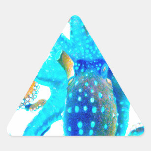 Pegatina Triangular Ocopi azul colorido