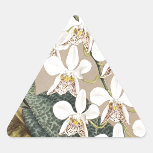 Pegatina Triangular Orquídeas