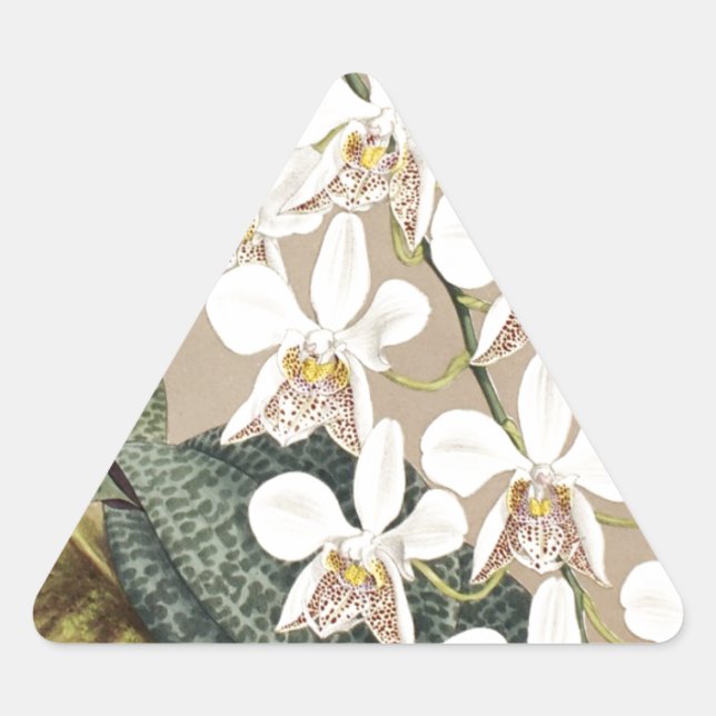Pegatina Triangular Orquídeas (Anverso)
