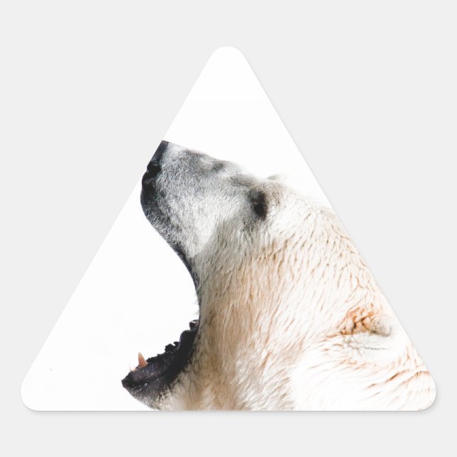 Pegatina Triangular Oso polar (Anverso)