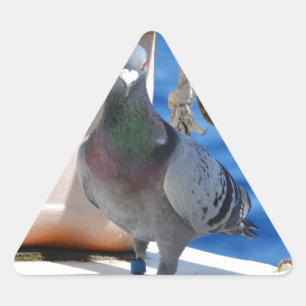 Pegatina Triangular Paloma de hogar