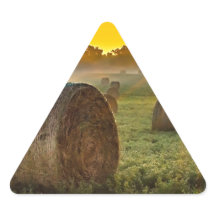 Pegatinas del triángulo de su Personalizado