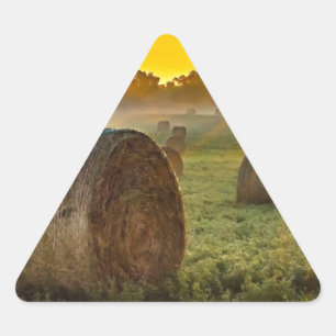 Pegatina Triangular Pegatinas del triángulo de su Personalizado