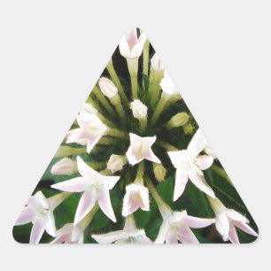 Pegatina Triangular Pentas blancas
