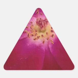 Pegatina Triangular Perfección Petal: arte de patrón Petal Rosa contro