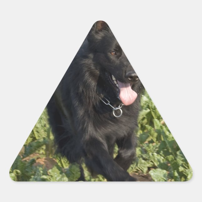 Pegatina Triangular Perro negro (Anverso)