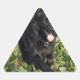 Pegatina Triangular Perro negro