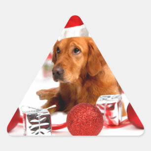 Pegatina Triangular Perro Retriever Dorado con Sombrero Rojo de Santa