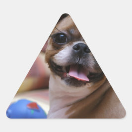 Pegatina Triangular Perro supercutto con su bola favorita