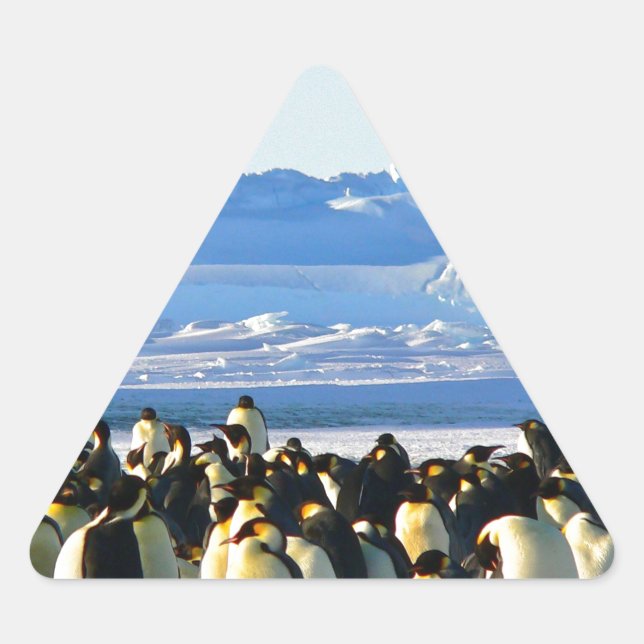 Pegatina Triangular Pingüinos emperadores (Anverso)