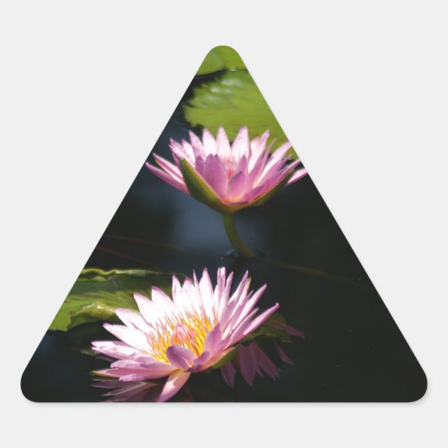 Pegatina Triangular Pink Purple Lotus Waterlilies (Anverso)