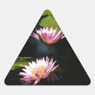 Pegatina Triangular Pink Purple Lotus Waterlilies
