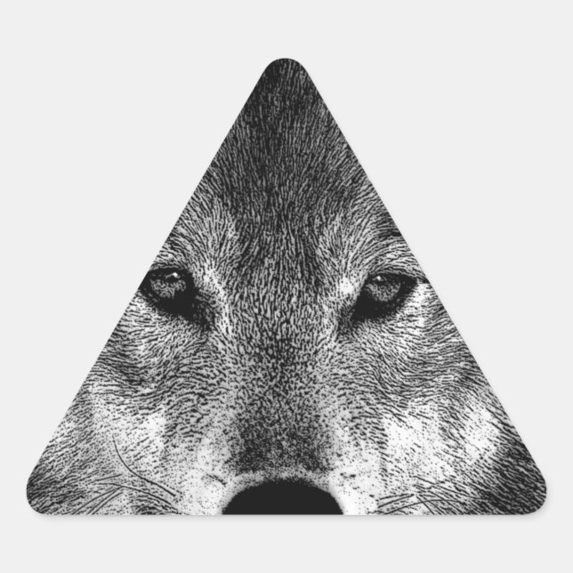 Pegatina Triangular Pintura de Lobo Blanco y Negro (Anverso)
