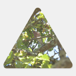 Pegatina Triangular Pinzón vulgar
